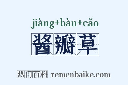 酱瓣草是什么意思的图片